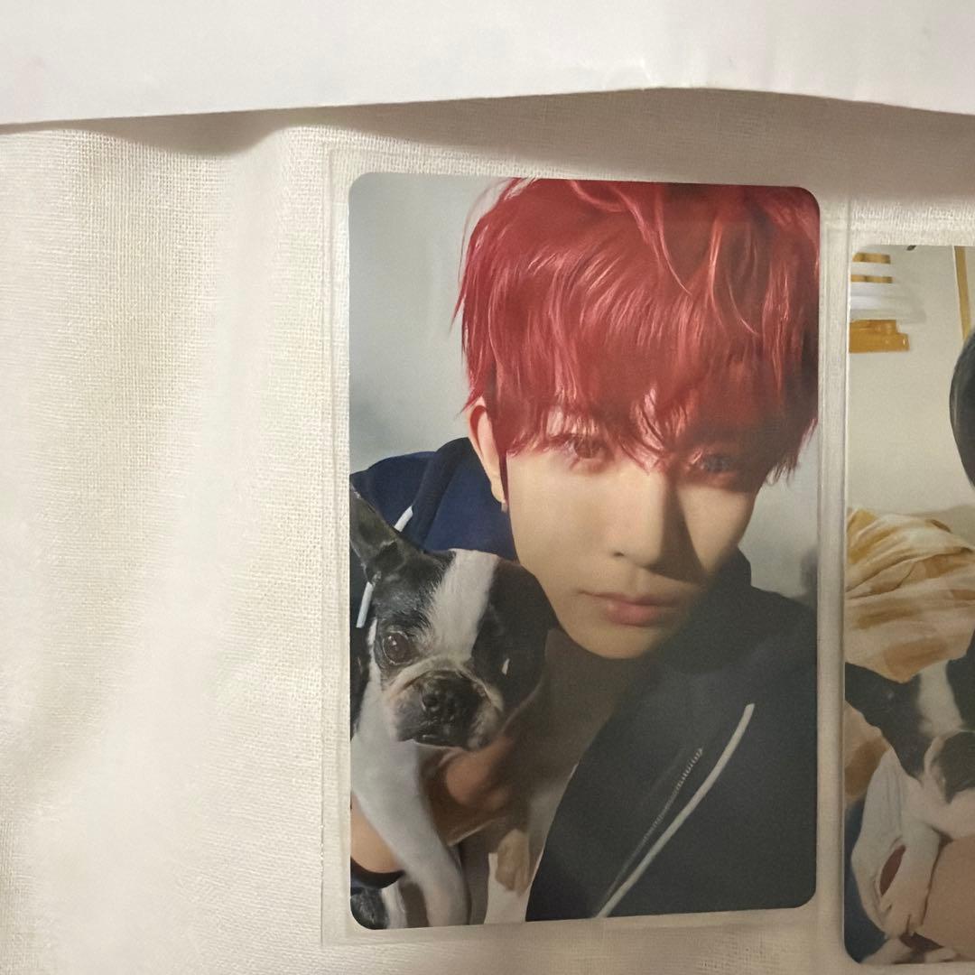 ENHYPEN アンケートトレカ5枚セット