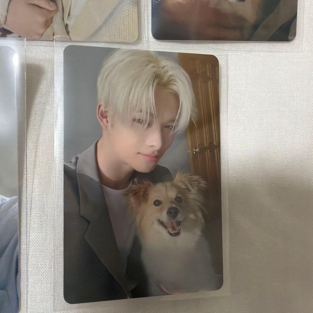 ENHYPEN アンケートトレカ5枚セット