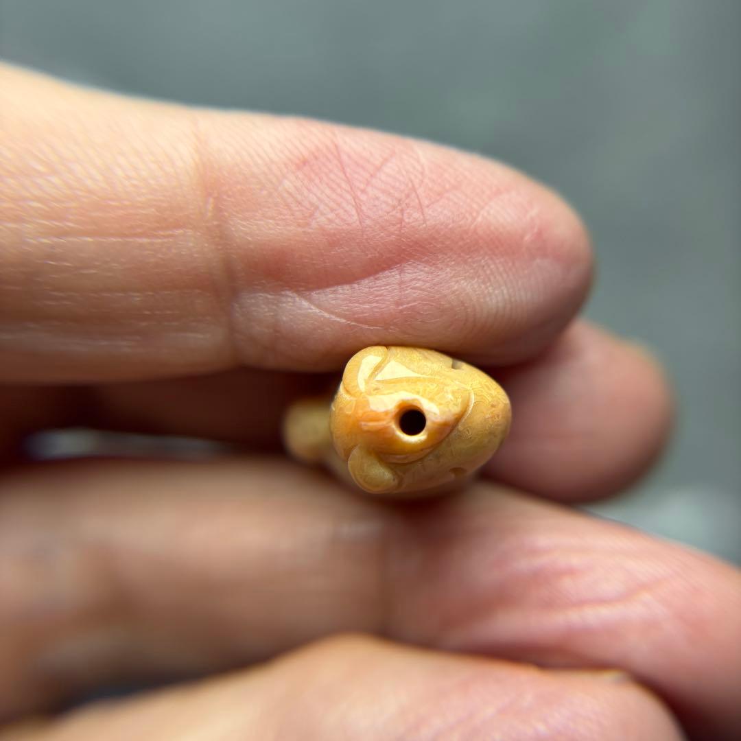 tamagoフォッシルコーラル　馬パーツ　1-147