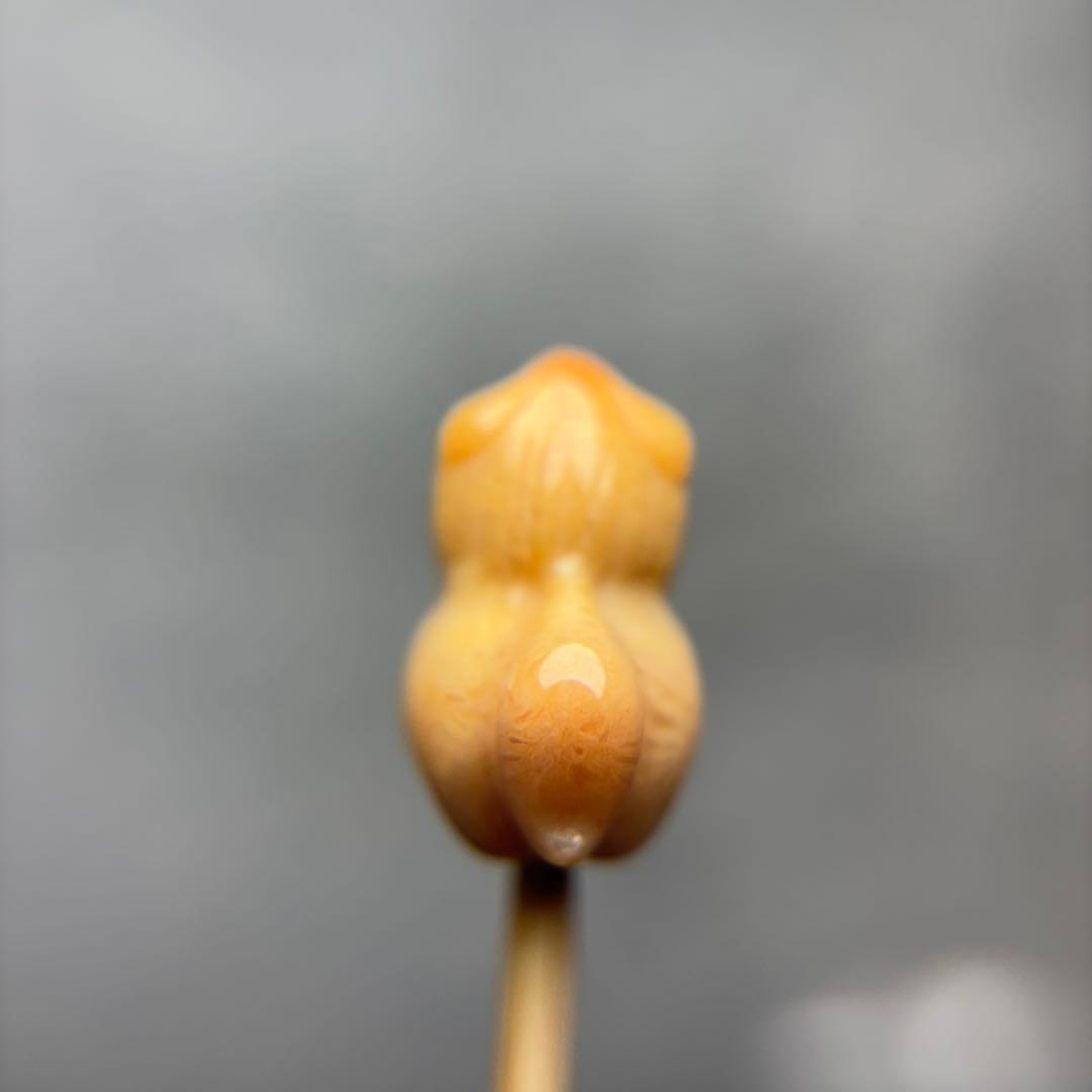 tamagoフォッシルコーラル　馬パーツ　1-147