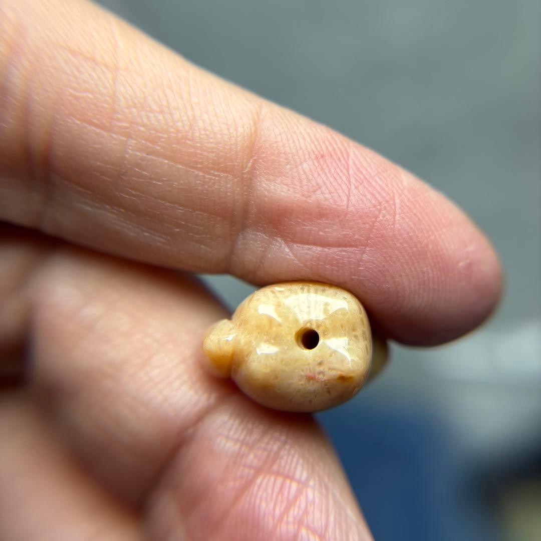 tamagoフォッシルコーラル　馬パーツ　1-147