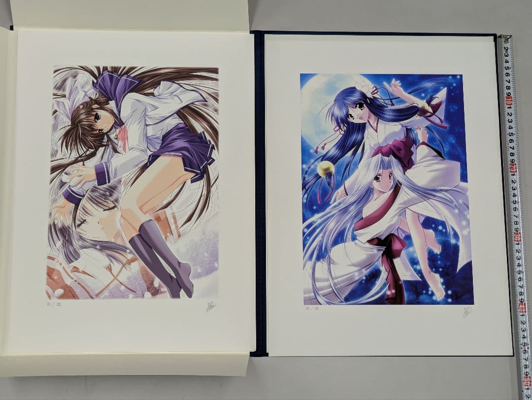 M&Iアート 山本和枝 IZUMO コレクターズエディション