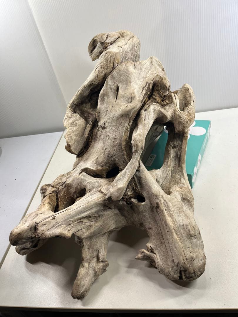 T90特大流木 大型流木 アク抜き済み 漂白処理 爬虫類シェルター