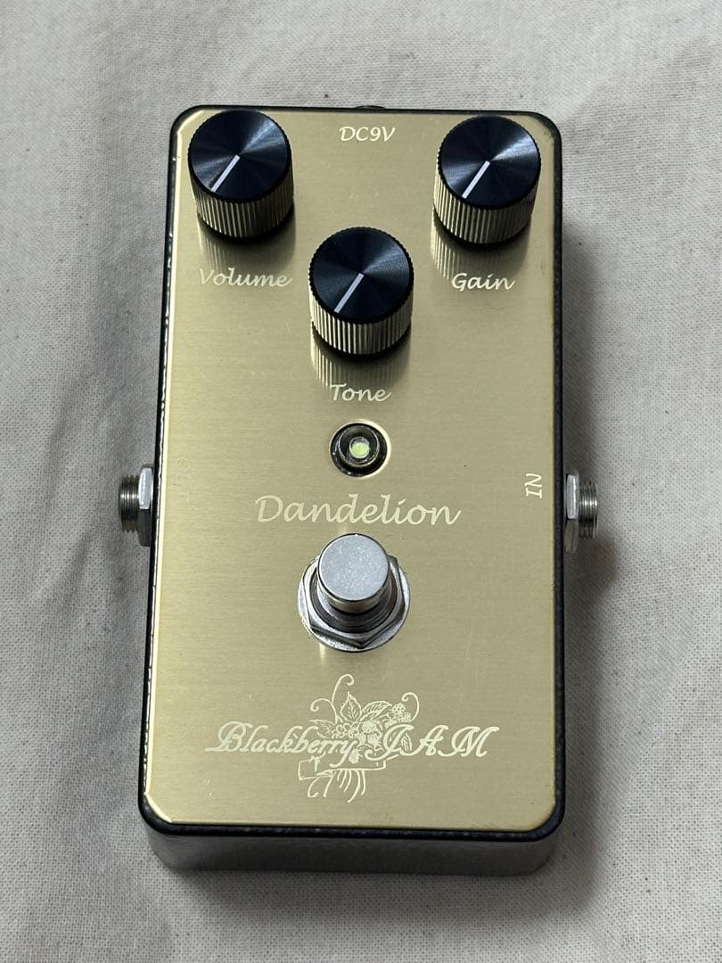 ギター Blackberry JAM Dandelion