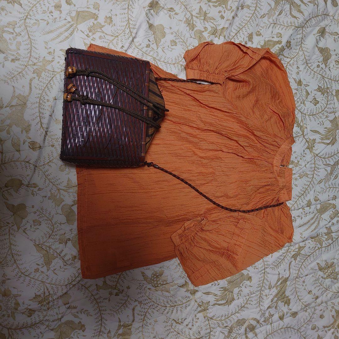 公長斎小菅 竹バック