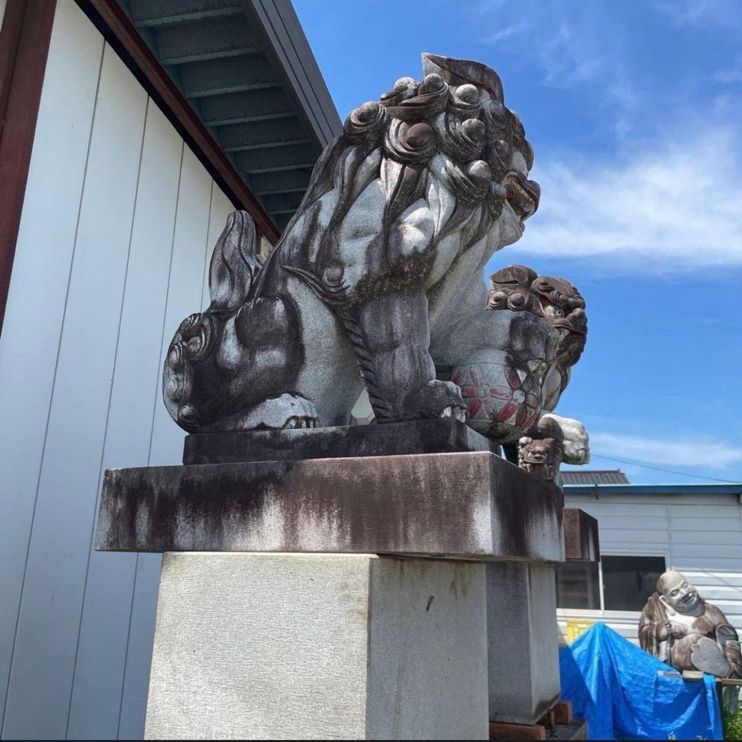 引き取り限定 狛犬 子供 玉付き 特大 石像 台付き 1対