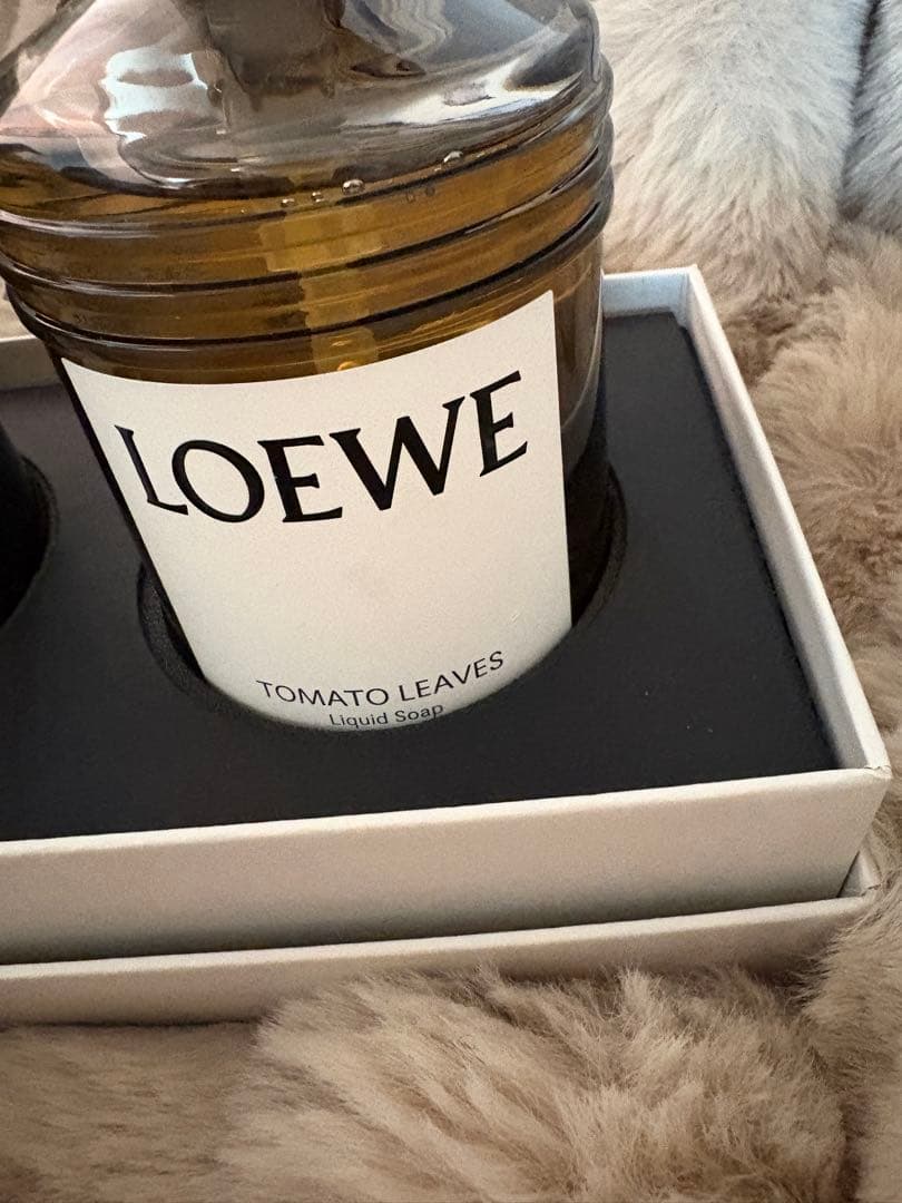 LOEWE トマトリーフ　オレガノ2本セット