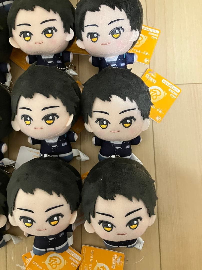 木ノ内太緒 18TRIP エイトリ ちびぐるみ 夕班 16体 - メルカリ