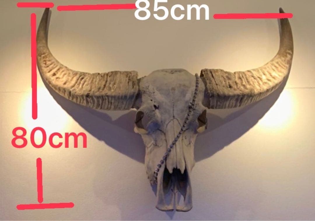 バッファロースカル　牛頭蓋骨　壁掛け彫像　カウボーイ　アメカジ　本物