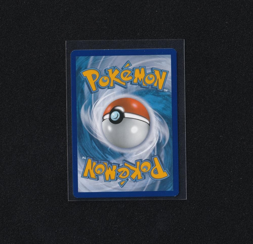 英版ブラッキー XY★プロモ