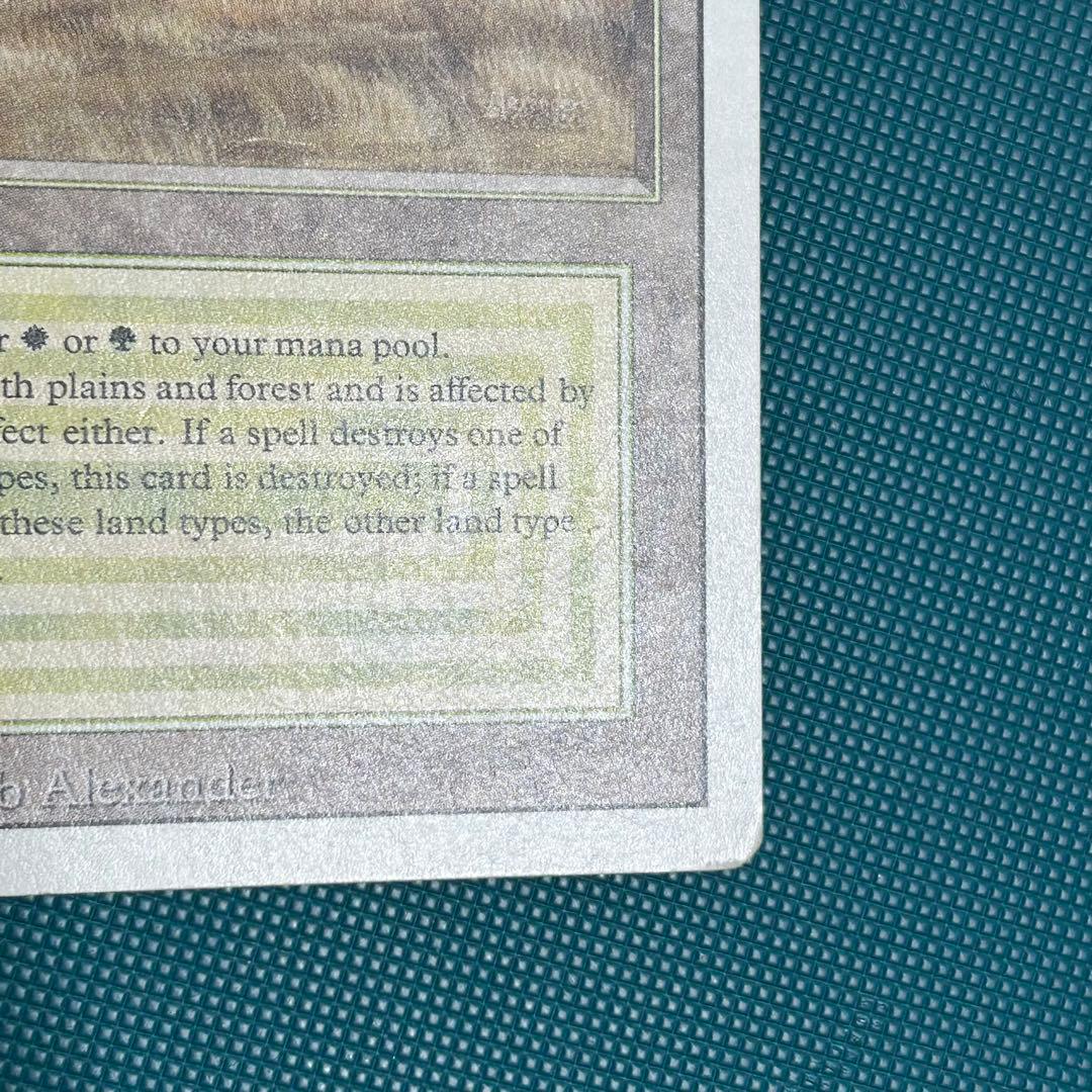 英語《Savannah》[3ED] リバイズド