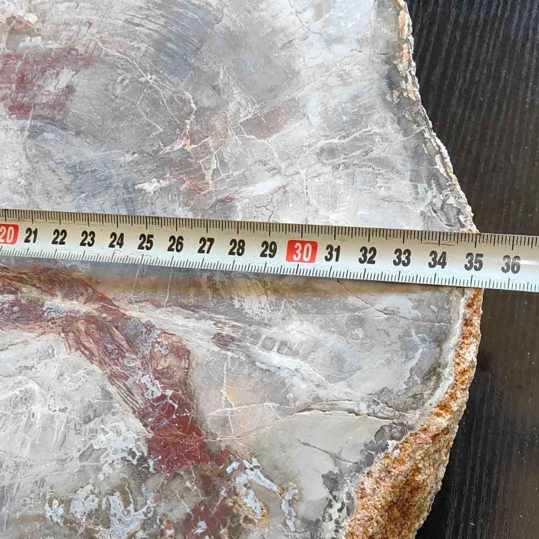 アリゾナ州で発掘された超大型珪化木の化石重量なんと21.3kg