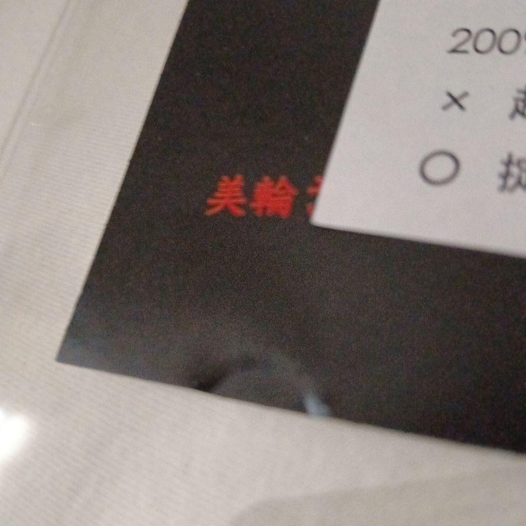 貴重 ゴールデンボンバー 2008年特典DVD 非売品 - メルカリ