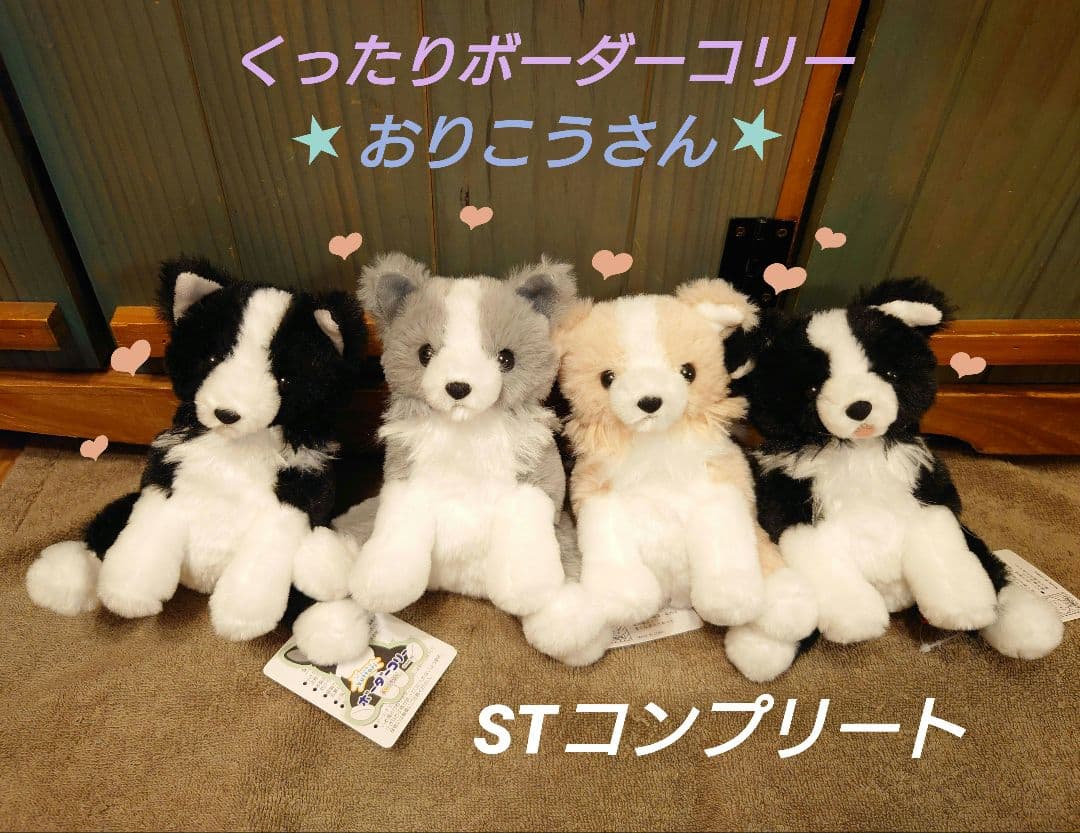 くったりボーダーコリー おりこうさん STコンプリート