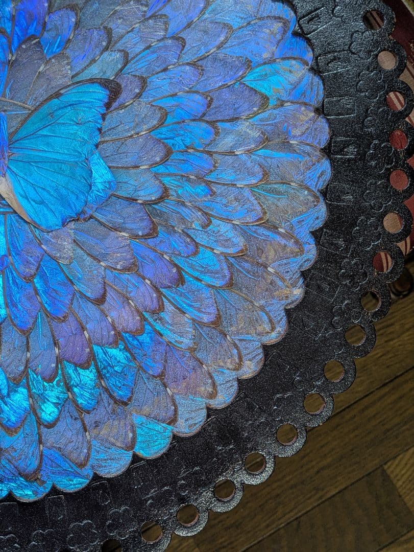 特大 極美☆神秘の輝き モルフォ蝶　美と幸運を招く一枚　Morpho 　標本