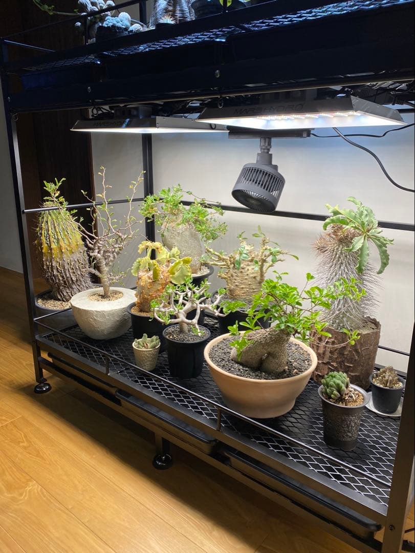 受注生産開始　オプション多数　アイアン植物棚　ダクトレール付き！　tig溶接製作