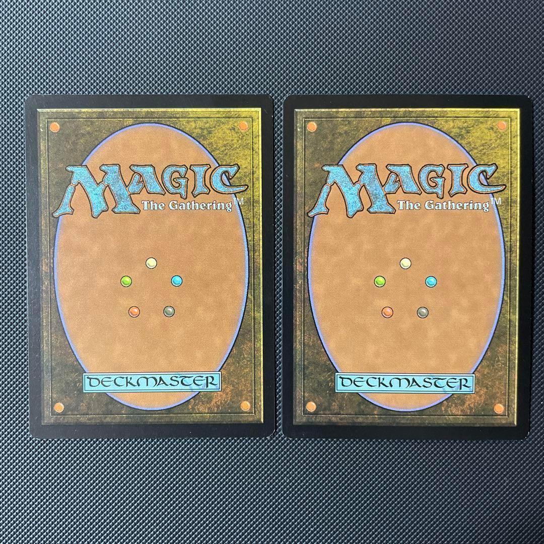 【FOIL】旧新枠ショックランド3枚セット　繁殖池２枚、血の墓所１枚　 MTG