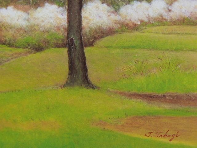 高木虎男、【枝垂れざくら】、希少な額装用画集より、美品、新品額装付