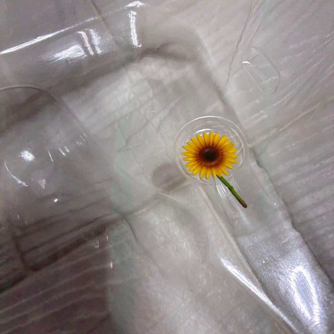 美咲詩絵 夏草 「すずふわ-すずなりフラワーガーデンプロジェクト-」