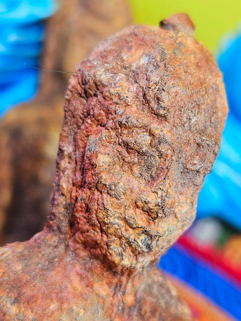 毛が生えた‼️特級呪物‼️希少‼️超特大サイズ‼️ナリーポンとマカリーポン