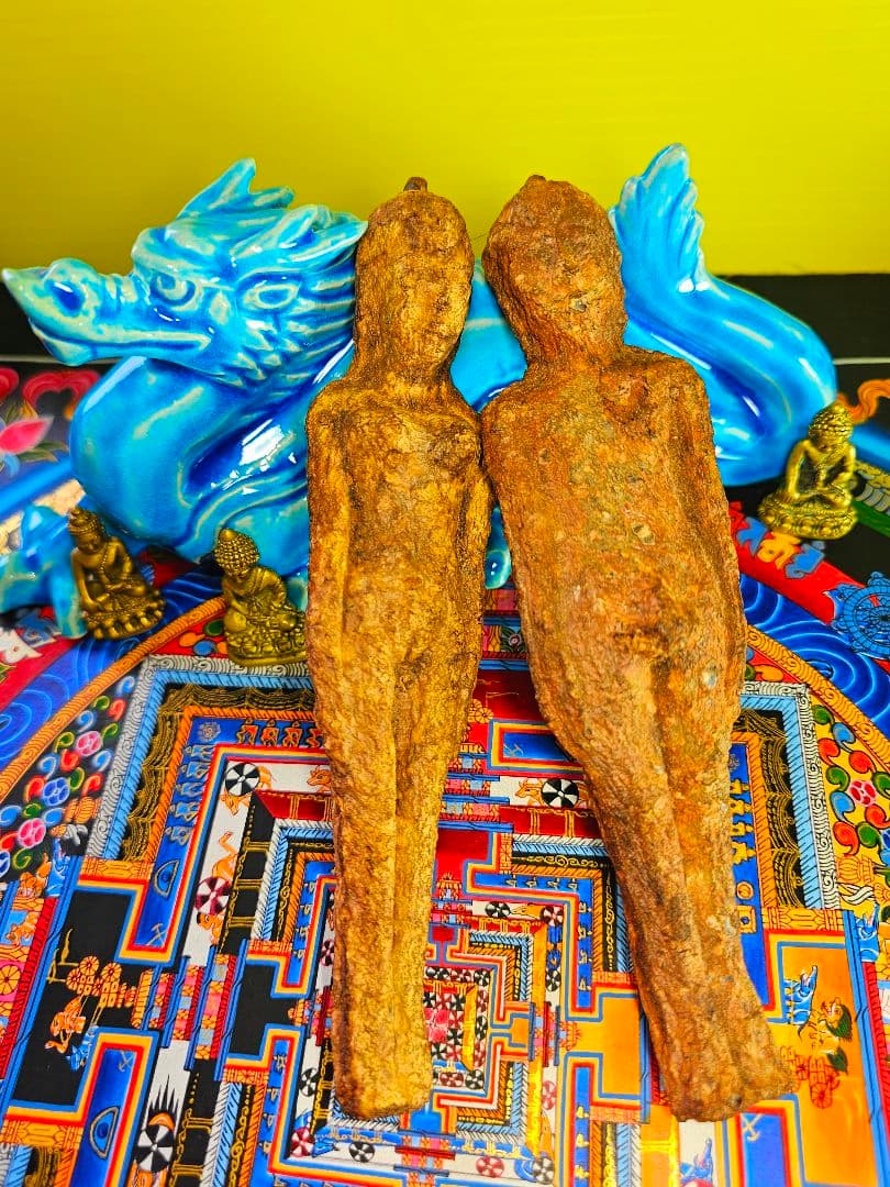 毛が生えた‼️特級呪物‼️希少‼️超特大サイズ‼️ナリーポンとマカリーポン