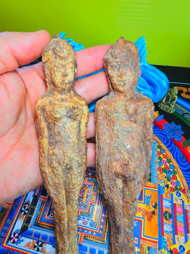 毛が生えた‼️特級呪物‼️希少‼️超特大サイズ‼️ナリーポンとマカリーポン