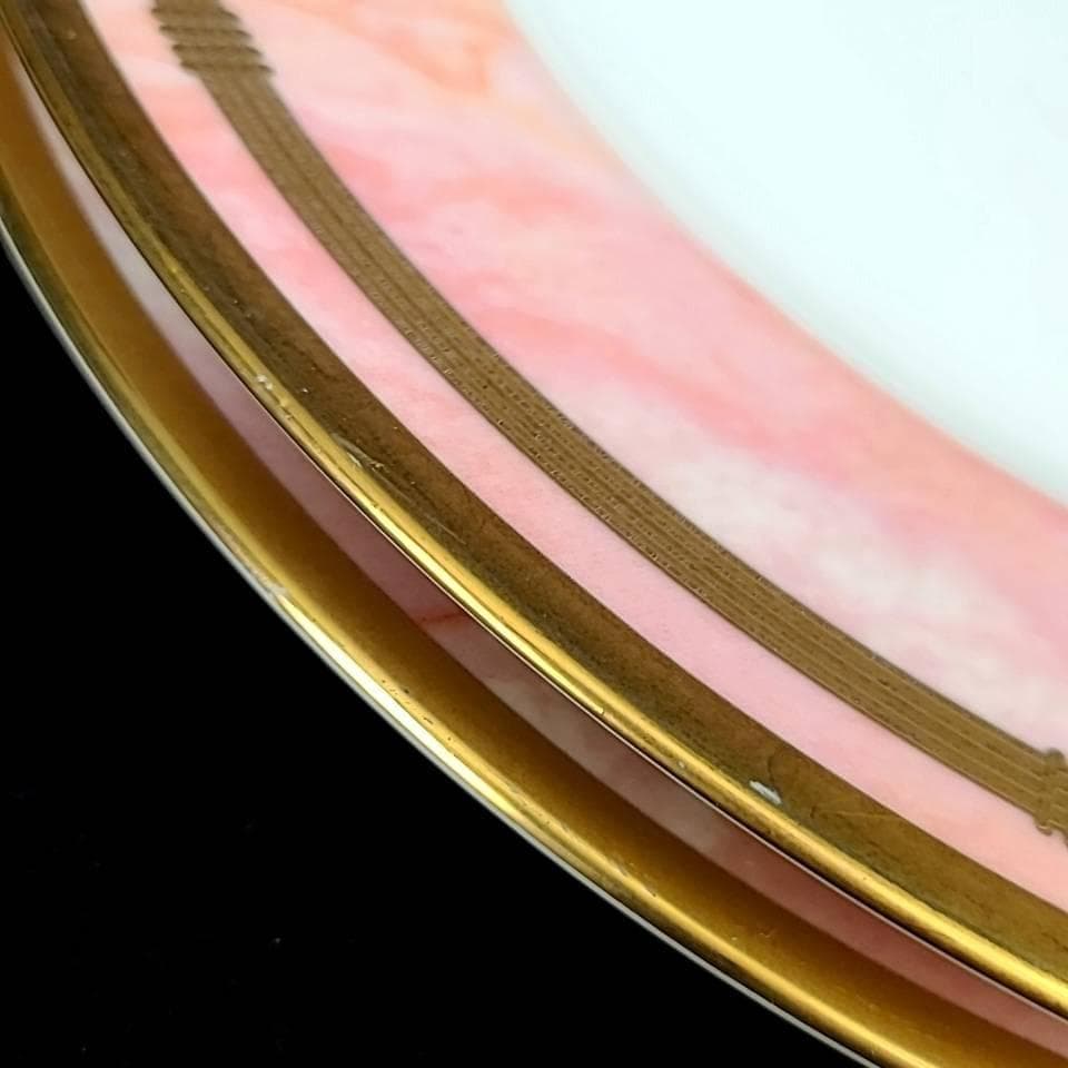 /良品/Dior　マーブルローズ　ディナープレート　6枚　大皿 1