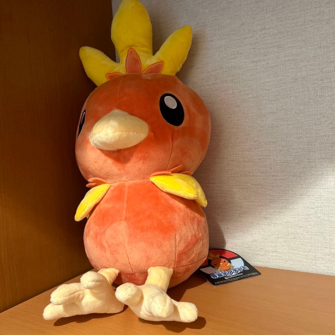 ポケモンセンター 等身大 アチャモ ぬいぐるみ - メルカリ