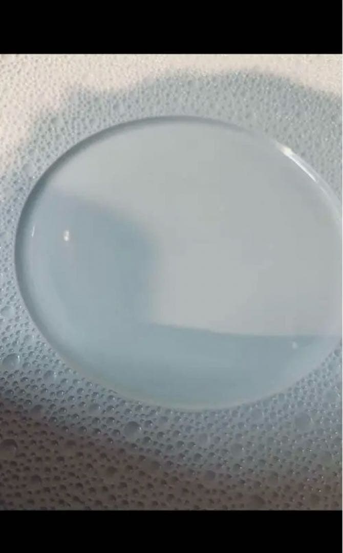 T　ベルナルド　パール　エキュム 31.cm 4枚セット