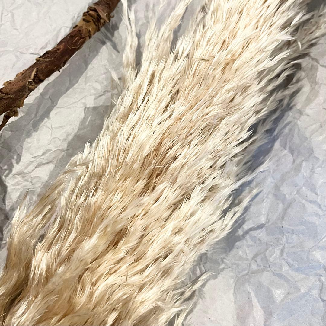 【訳あり】　アンティークドライフラワーセット⑥ おまけ付き