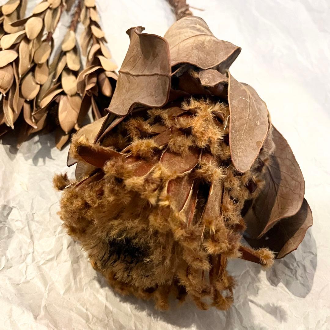 【訳あり】　アンティークドライフラワーセット⑥ おまけ付き