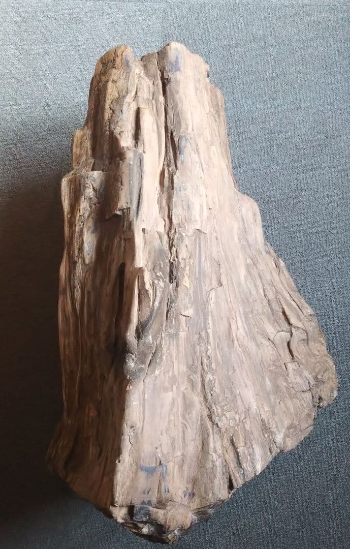 珪化木　木化石　大型　造園　希少品