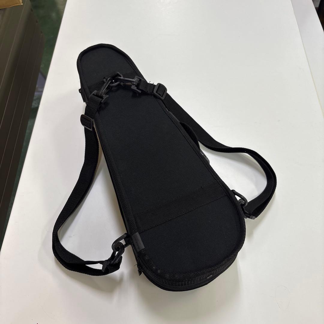 【美品】カルロジョルダーノ バイオリン VS-1 1/16 子供用