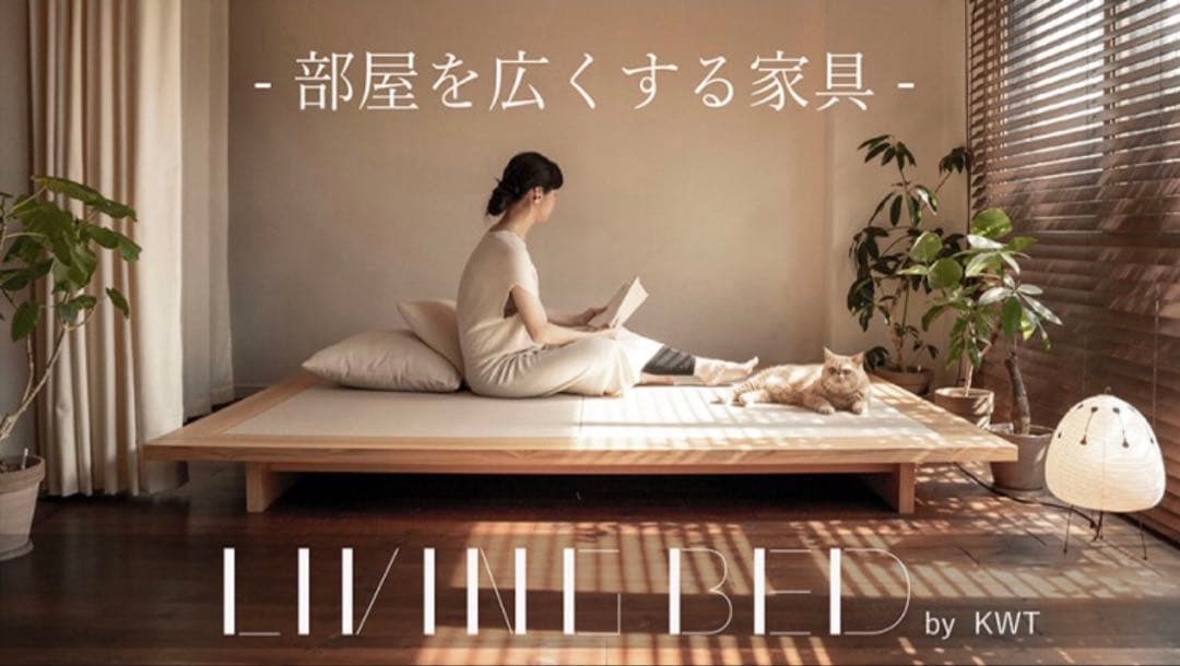 部屋を広くする家具 LIVING BED （旭川家具）セミダブル