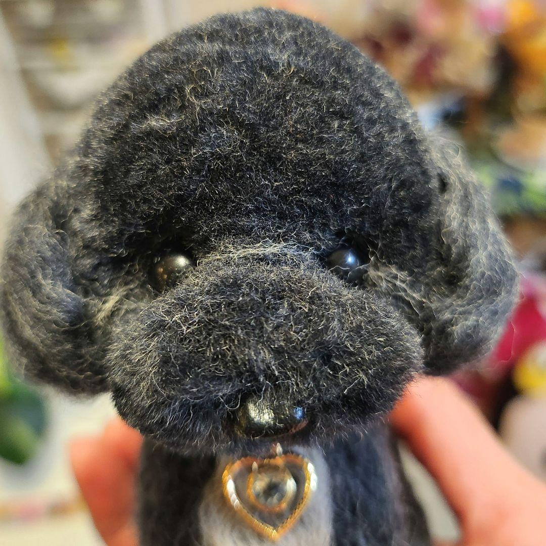 トイプードル❤️羊毛フェルト13cm 　　　　　☆お迎え決まりました☆