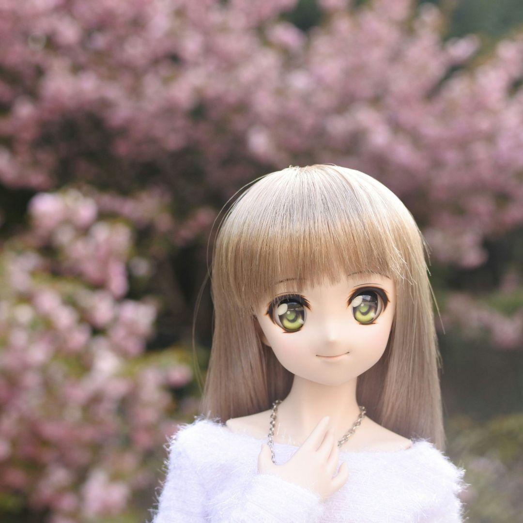 ドルフィードリーム　ドール　＋衣装20点以上、お出かけバッグ他