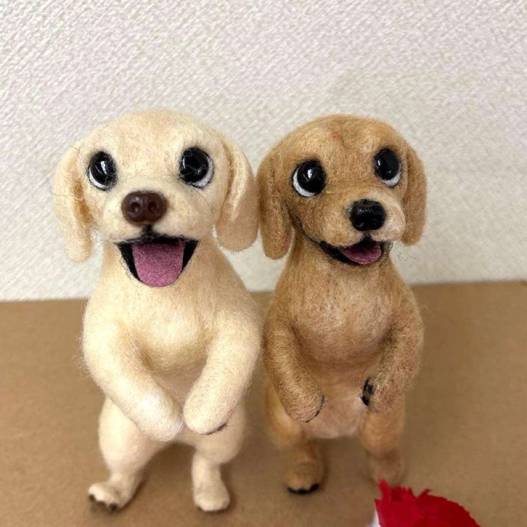 ゆきちゃんU^ェ^U(=^x^=)