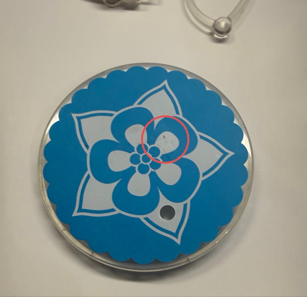 アメリカ　ねんどろいど