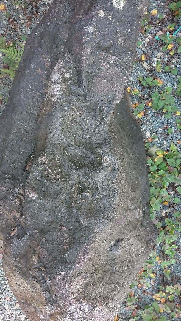 ※引き取り限定※  最終値下げ・庭石セット