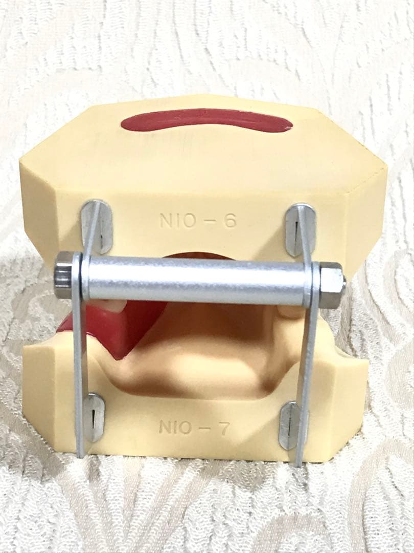 NISSIN DENTAL STUDY MODEL 矯正  歯　模型