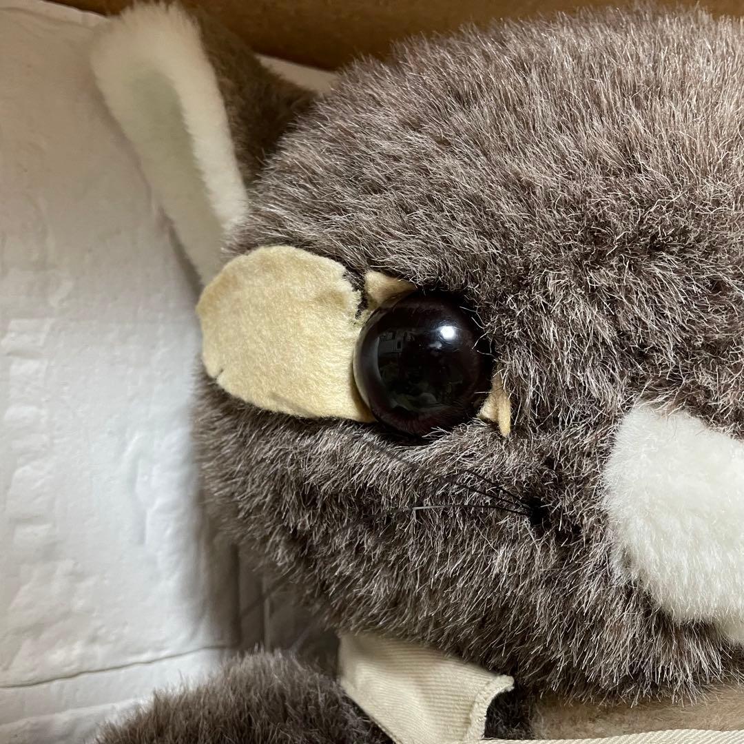 わちふぃーるど 猫のダヤン ぬいぐるみ BIGサイズ - メルカリ