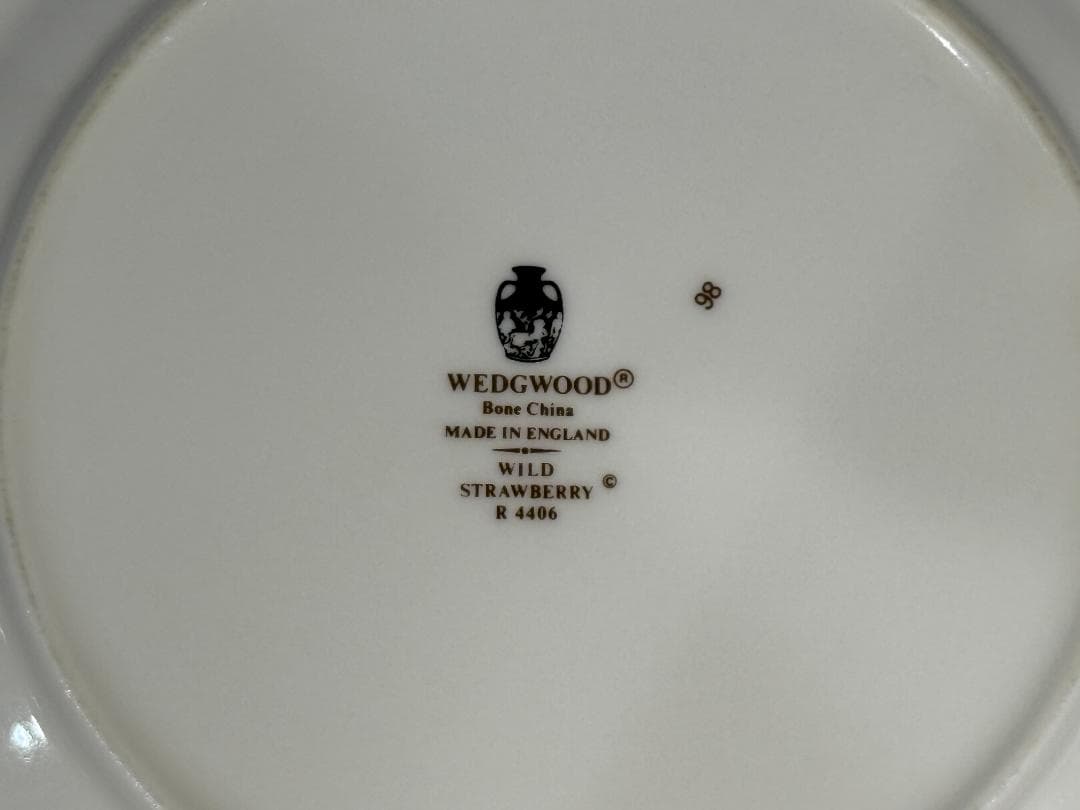  ワイルドストロベリー ディナープレート(中) 黒壺マーク