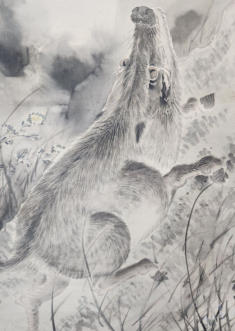 月下猪図】浅井柳塘 2655 阿波徳島出身 イノシシ 掛け軸 肉筆 - メルカリ