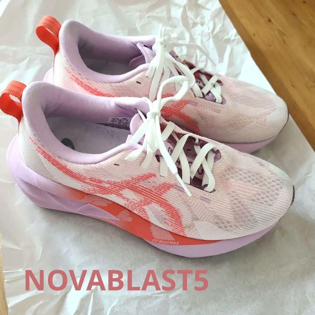 ○日本の勲章/日本軍/徽章＊明治の勲章＊並河造＊勲三等瑞宝章（実物）