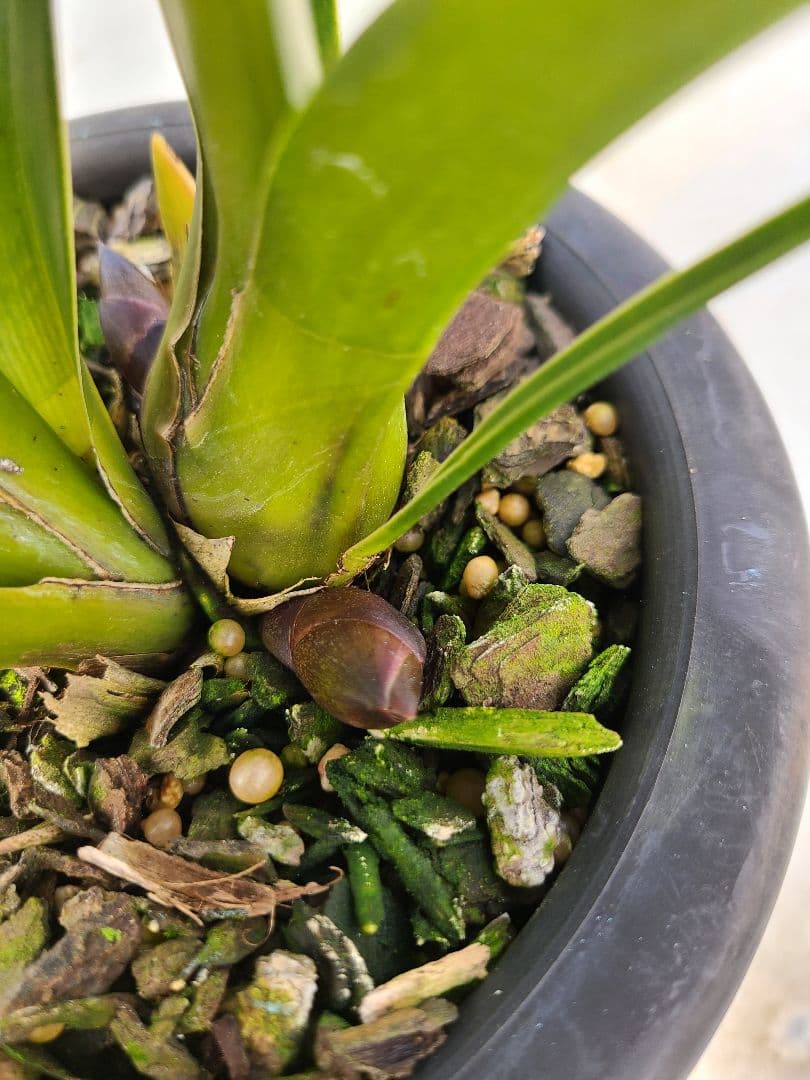 ヨッシー様ご確認用 44様確認用 Yoshi様 確認用1 ユニット ユニ