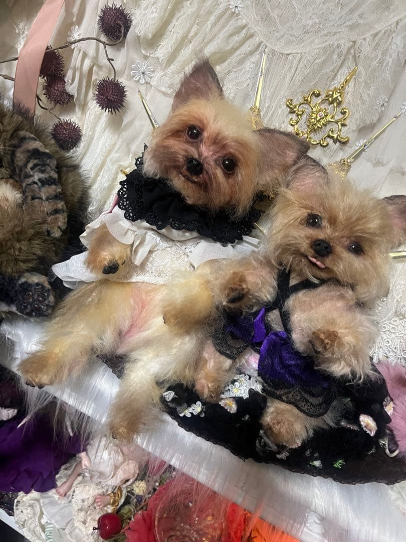 愛犬 モヘア オーダーメイド 20センチ