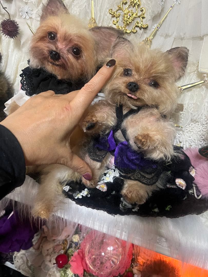 愛犬 モヘア オーダーメイド 20センチ