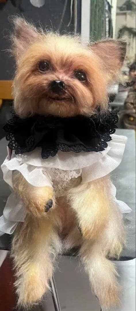 愛犬 モヘア オーダーメイド 20センチ