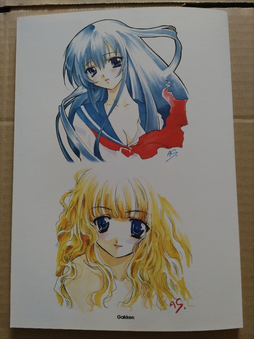 ヤミと帽子と本の旅人 ビジュアル コレクション - メルカリ