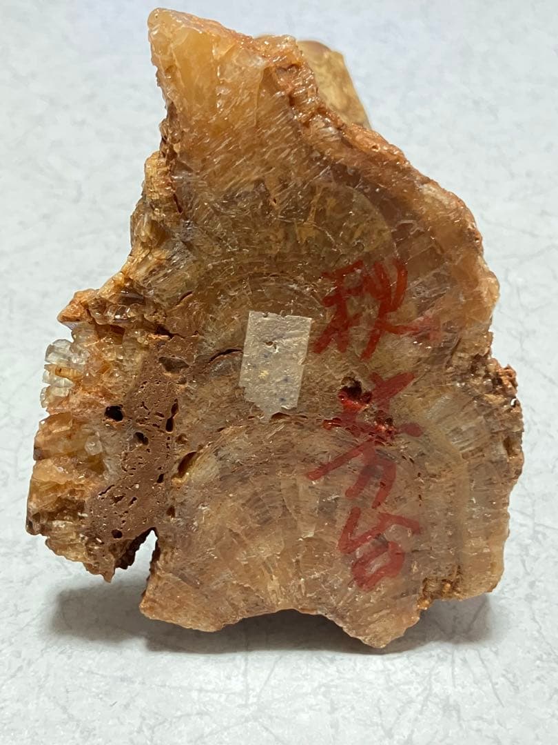 秋芳洞　鍾乳石